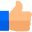 Thumbs Up Icon